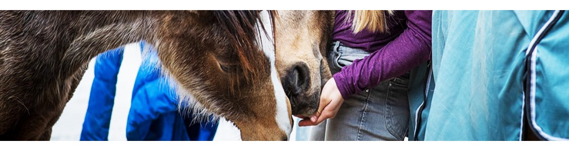 Personalised Equestrian Clothing